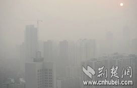 武汉空气质量达严重污染 市民狂购清肺排毒食品